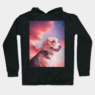 a Beagle in the sky Hoodie